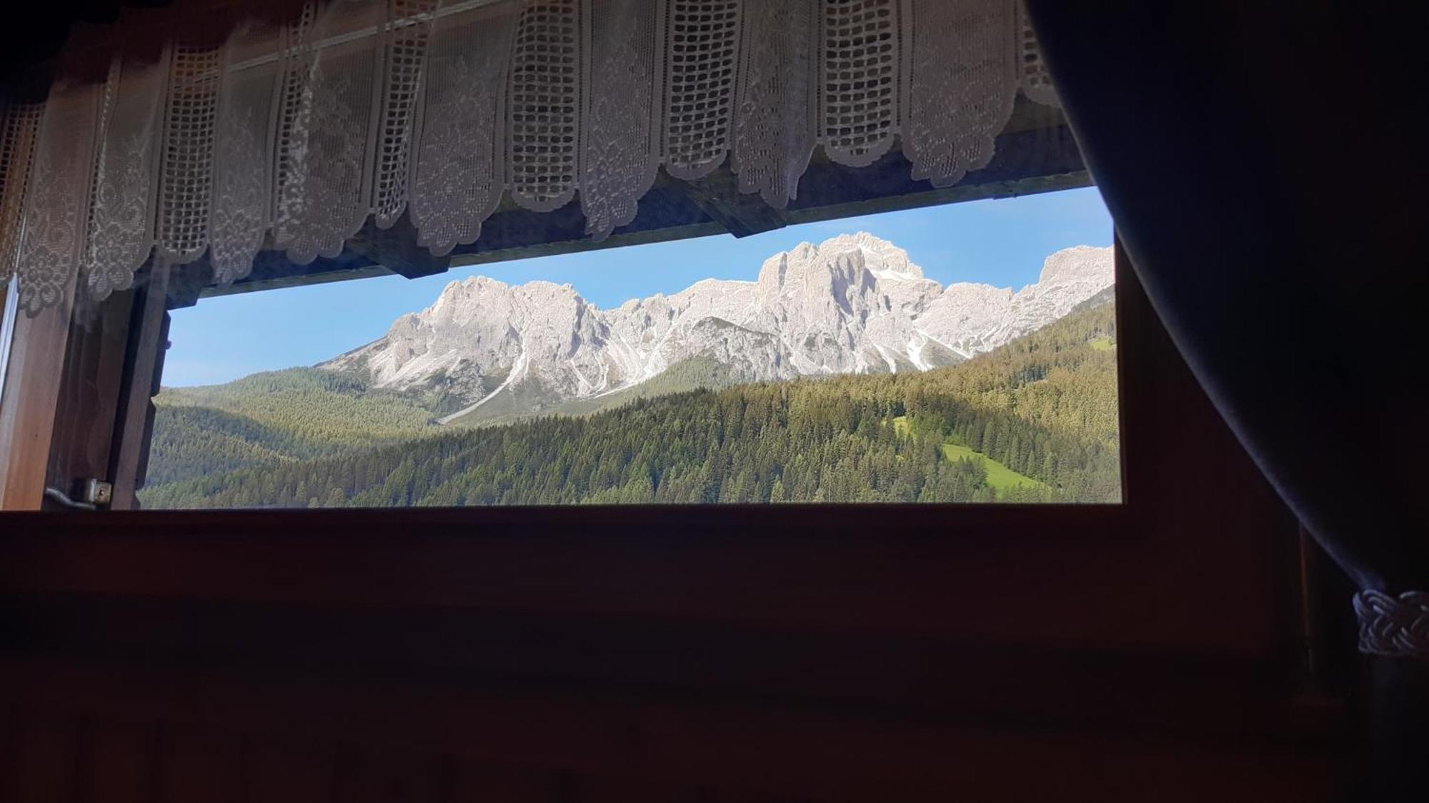 La Pineta Apartment Padola Kültér fotó